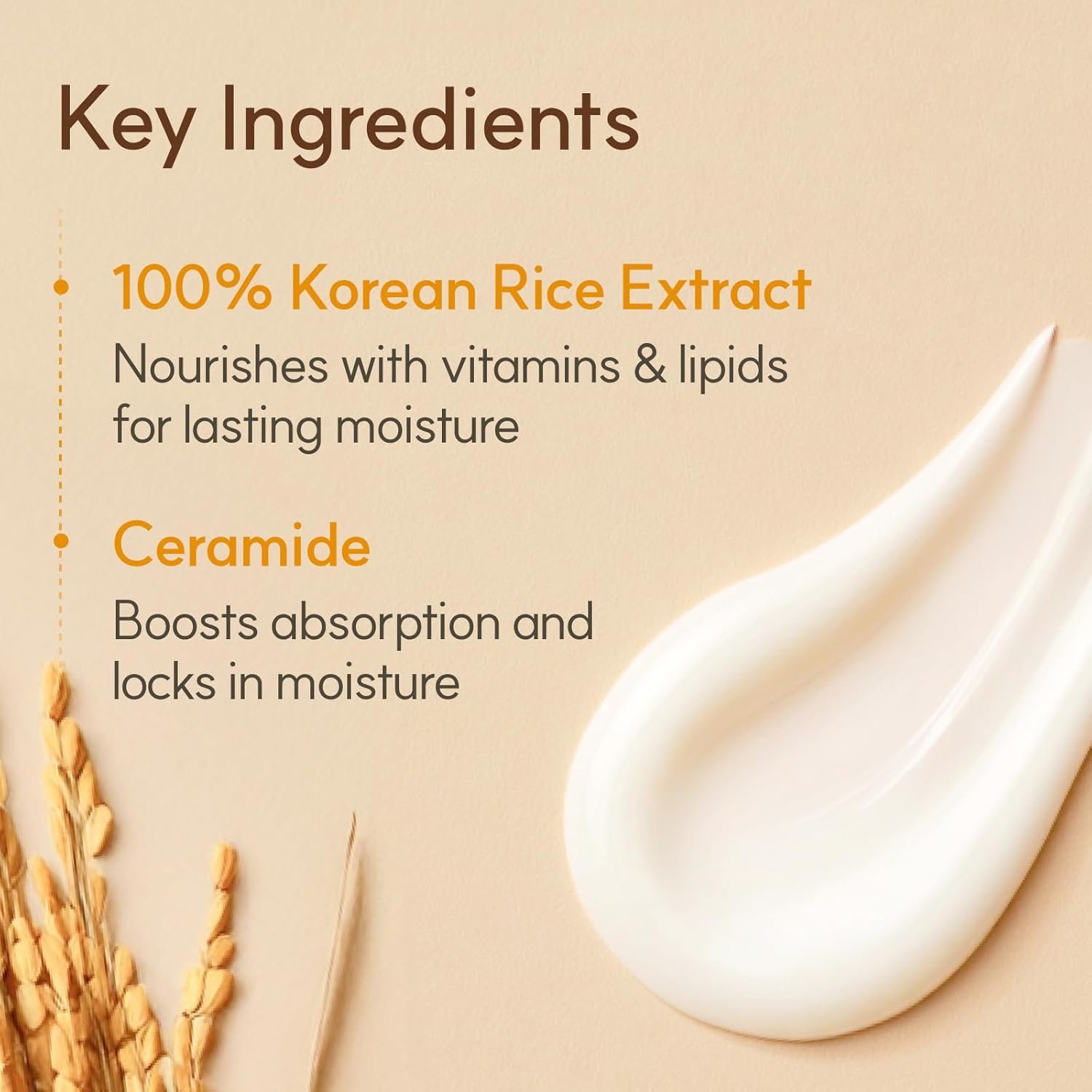 The Face Shop Rice Ceramide Moisture Cream - 50ml - Image 3